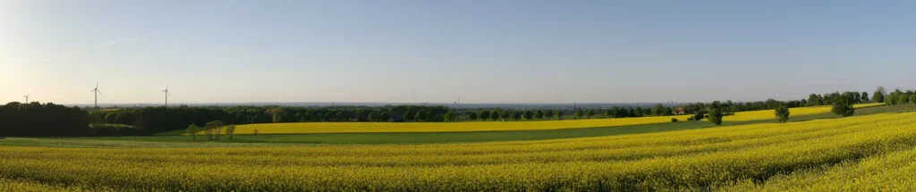Rapsfeld bei Unna mit Windrädern, Stadtsilhouette am Horizont